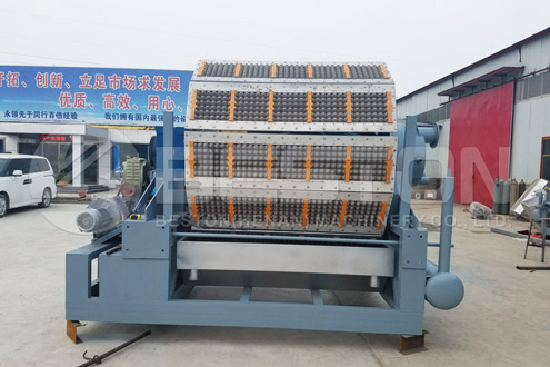 Beston Paper Egg Tray Machine for Sale