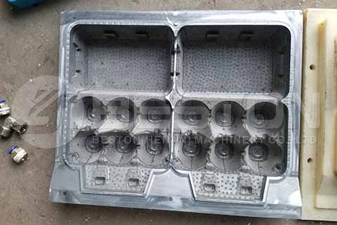 Egg Carton Mold