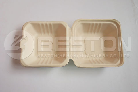 Egg Carton Tray